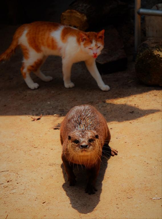 ヴィラ タ マフラオ Pa Khlok エクステリア 写真
